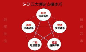 S-D系統