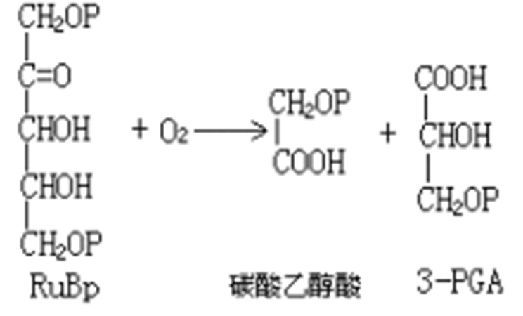 噪聲的物理量