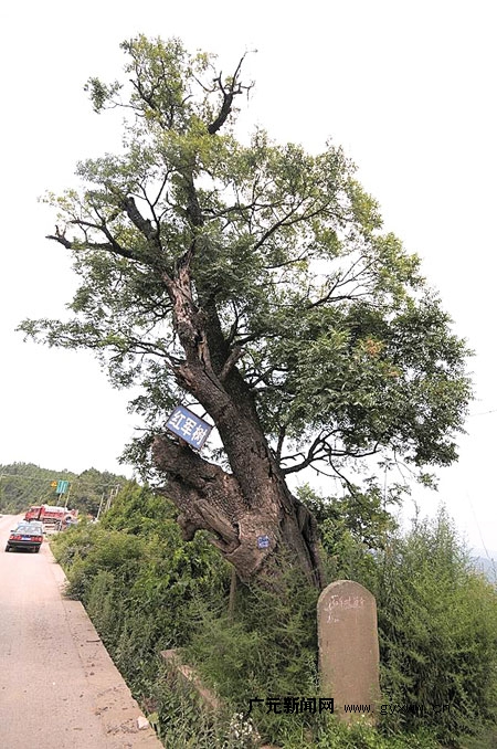 廣元紅軍山