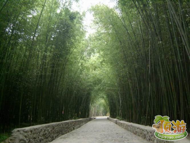 洛寧金門綠竹風情園