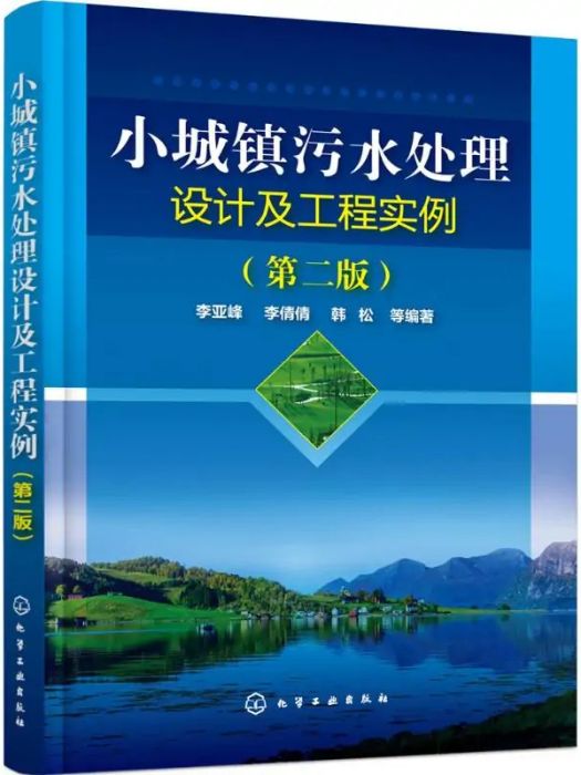 小城鎮污水處理設計及工程實例(2018年化學工業出版社出版的圖書)