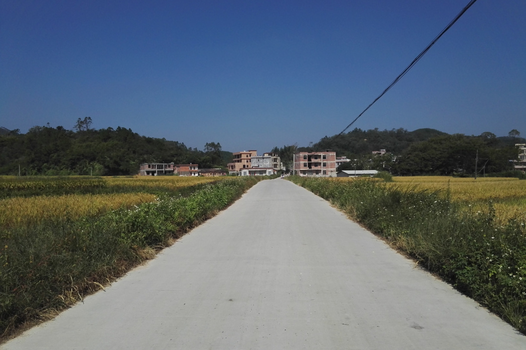 大垌村(廣西壯族自治區玉林市博白縣大垌鎮下轄村)