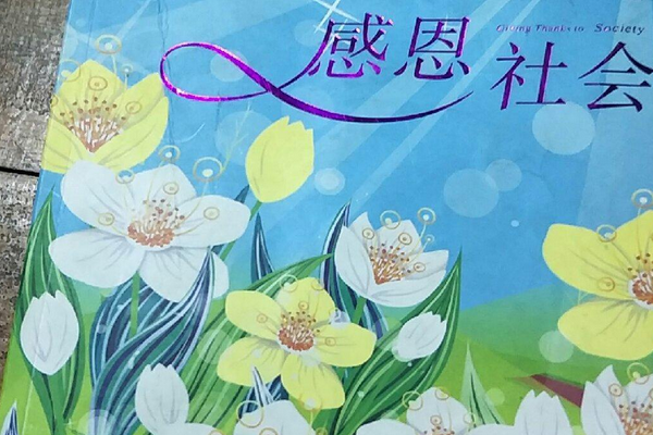 感恩社會(2008年北方婦女兒童出版社出版的圖書)