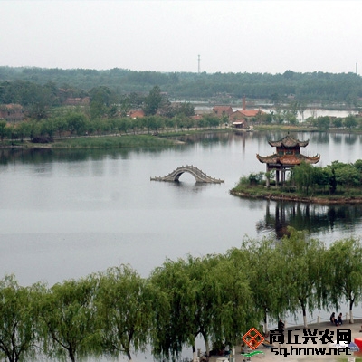 夏邑天龍湖景區