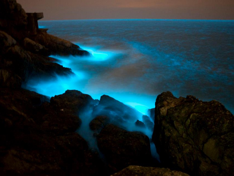 馬祖“藍眼淚”星沙奇景，海面發出幽幽藍光
