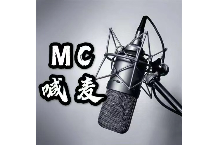 一人我飲酒醉(楠涵神演唱歌曲)