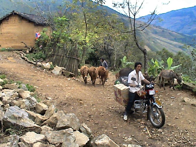 黑泥窪村通村道路