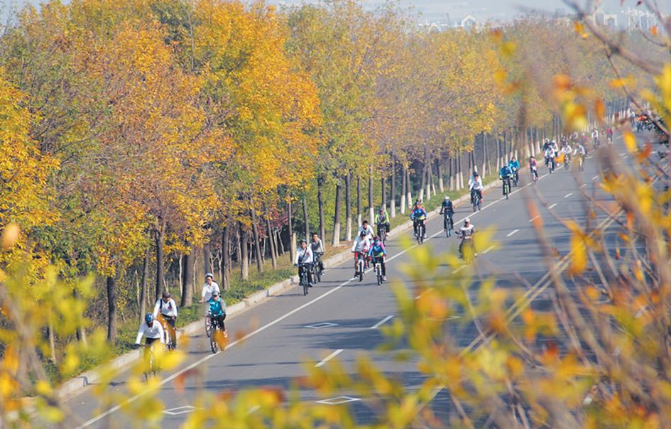 日照傅疃河口濕地公園