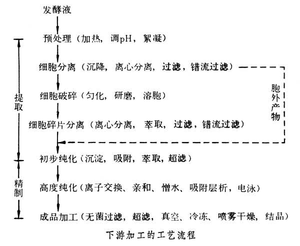 生化分離工程