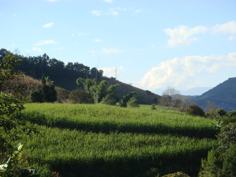 大寨自然村(雲南鳳慶縣岩帥鎮下轄村)