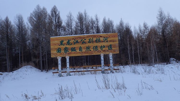 黑龍江公別拉河國家級自然保護區雪景