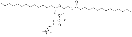 1,2-二十四醯-RAC-GLYCERO-3-磷酸膽鹼