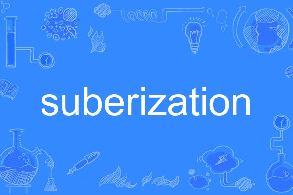 suberization