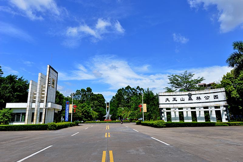 大王山國家森林公園