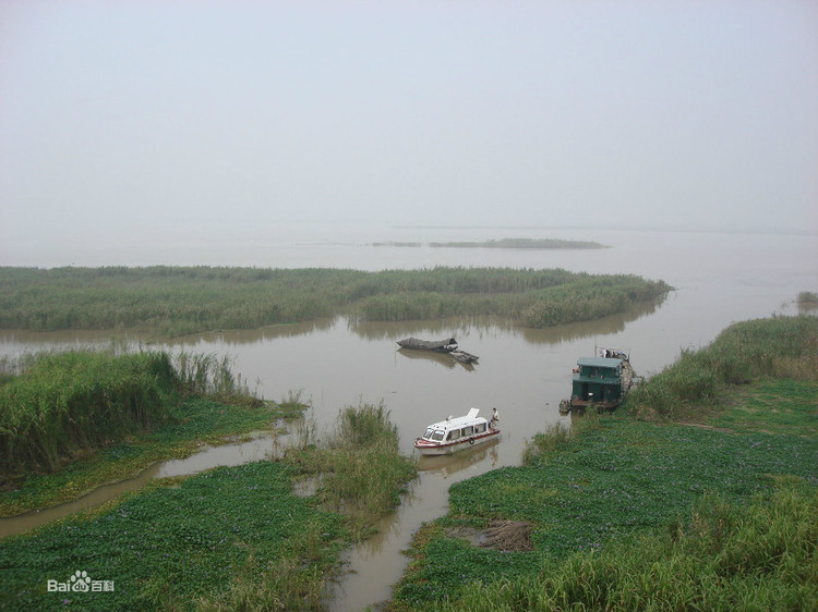 游洞庭湖湘