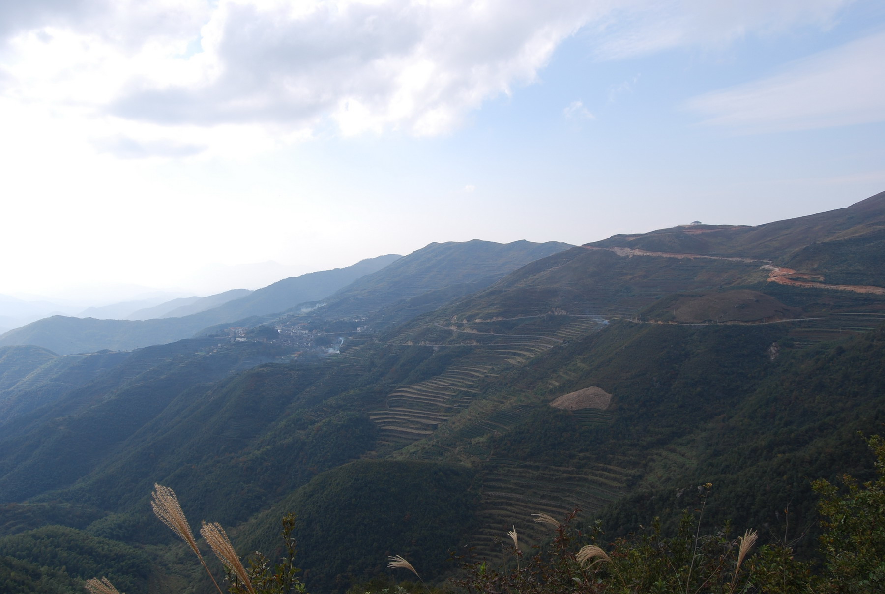 龍山村鳥瞰