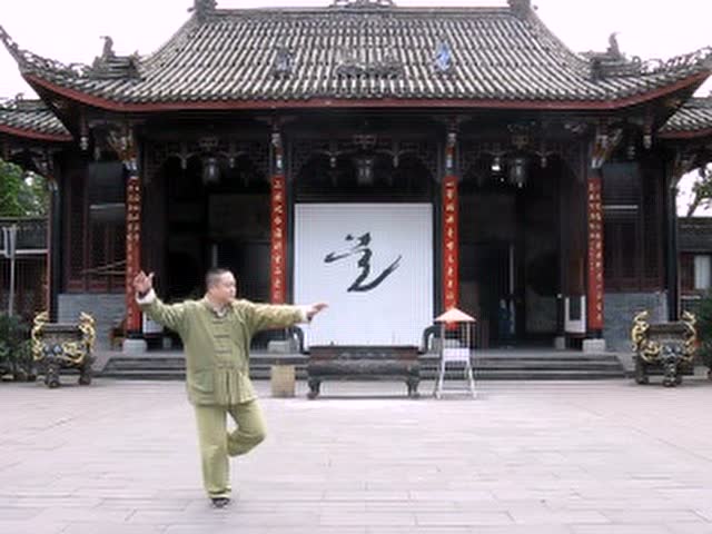 楊氏太極拳115式