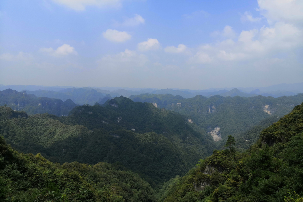 岩溶基準面