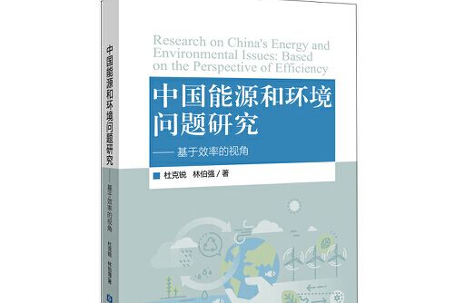 中國能源和環境問題研究——基於效率的視角