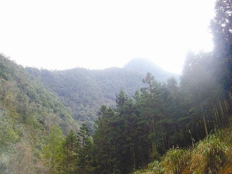 齊雲山國家級自然保護區