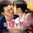 結婚前規則(愛你沒商量（2014年沙溢馬蘇主演電視劇）)