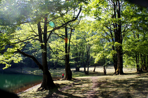 黑龍海子森林公園