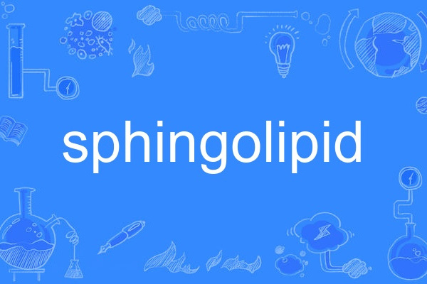 sphingolipid