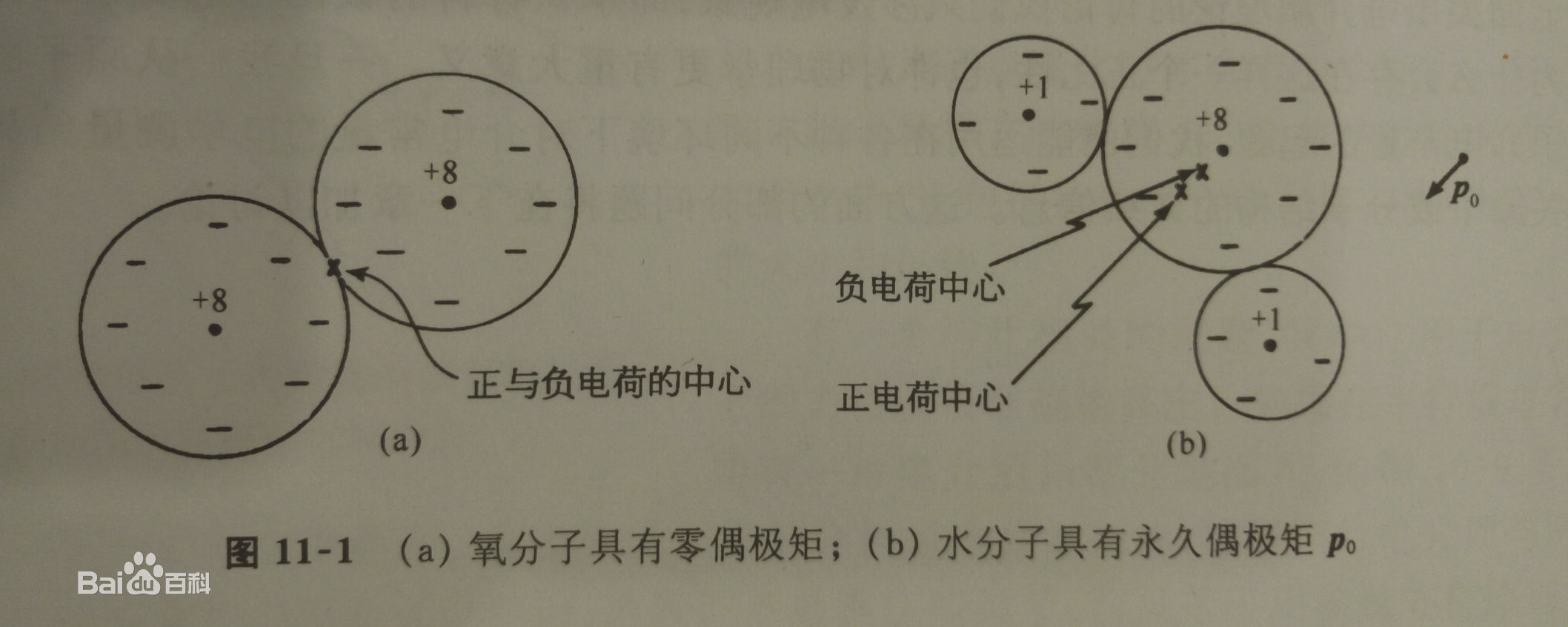 分子電矩