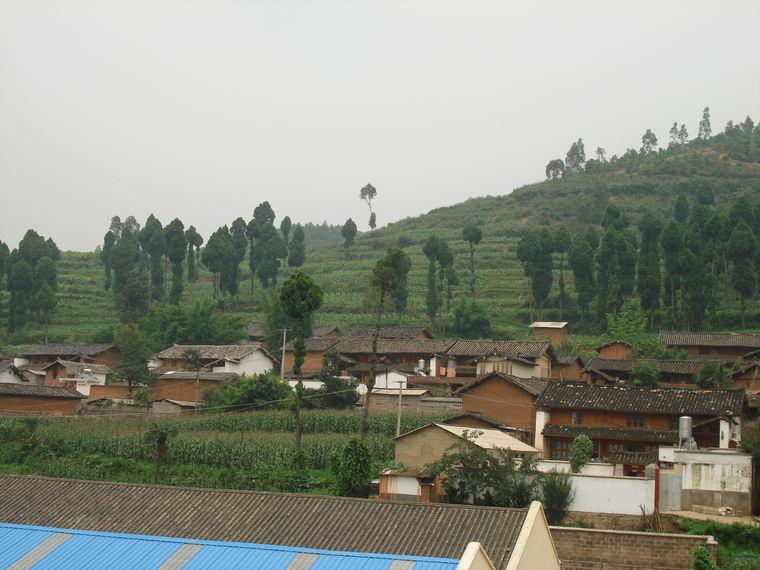 何家村(雲南省玉溪易門縣小街鄉)