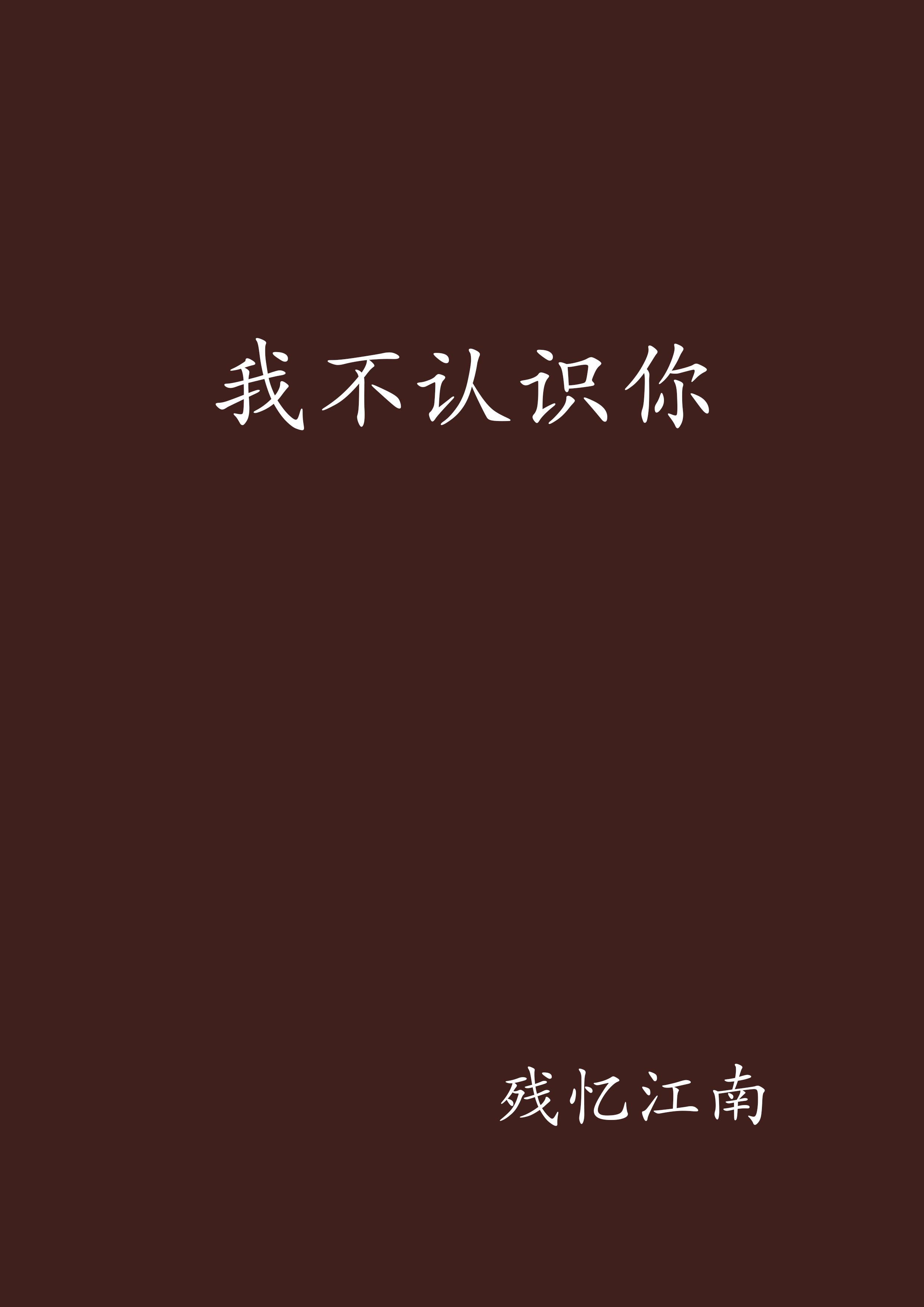 我不認識你(小說)