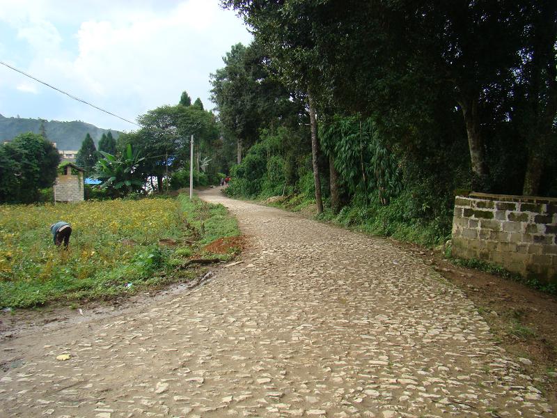 共裕村(雲南省保山市昌寧縣漭水鎮)