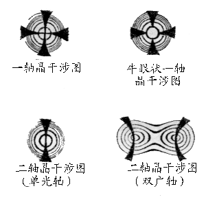 黑十字消光圖案