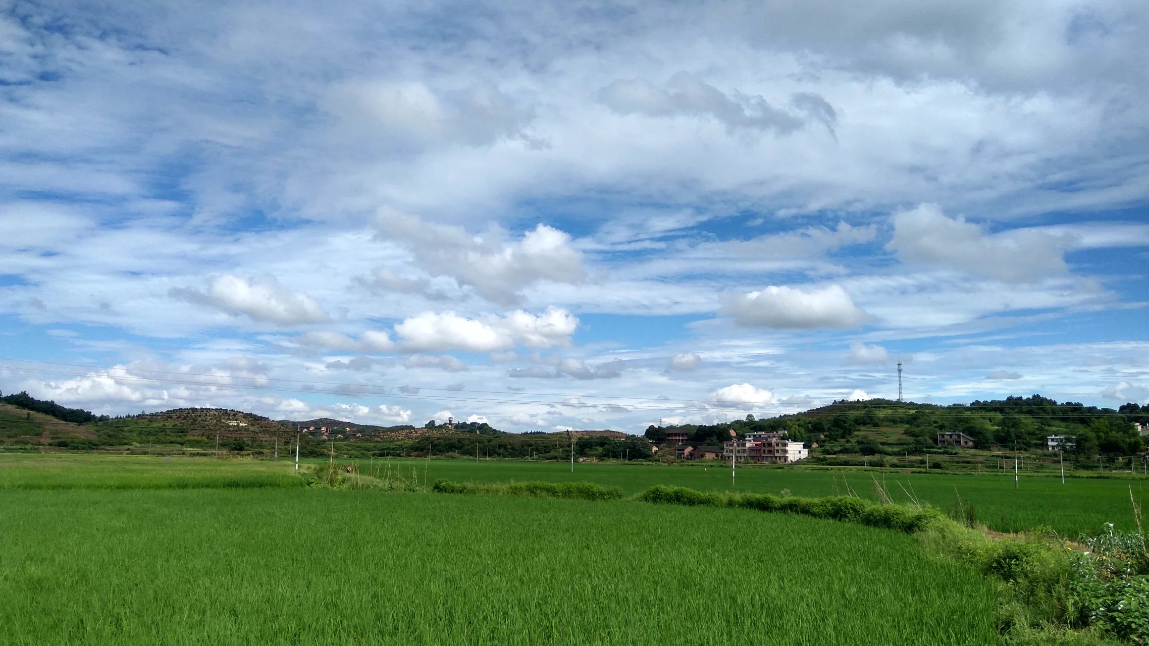 湖邊村