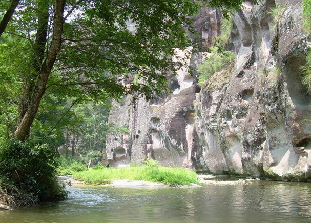 金絲灣森林公園