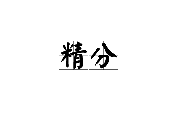 精分(漢語詞語)