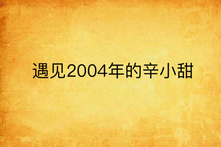 遇見2004年的辛小甜