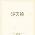 平成時代(科幻遊戲類網路小說)