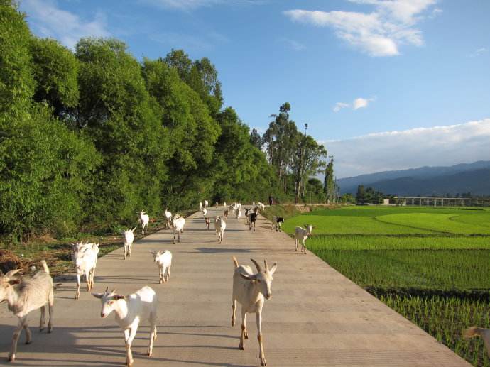 白龍村(雲南省怒江蘭坪縣河西鄉白龍村)