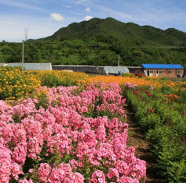 山西溝村