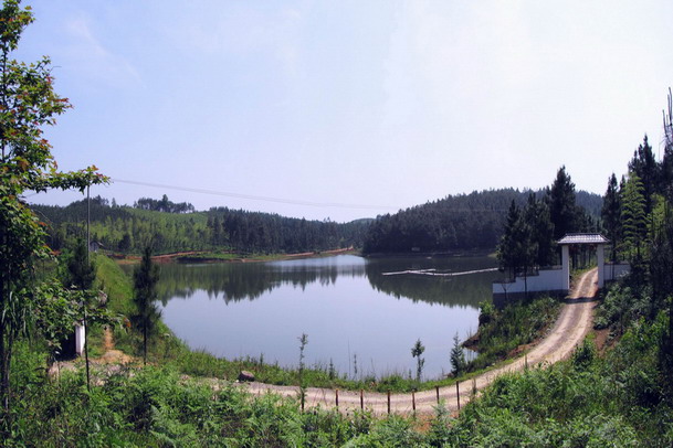 涇縣蔡村鎮河沖村