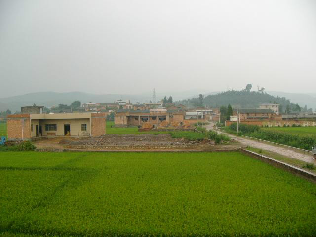 大橋村(雲南省曲靖陸良縣板橋鎮大橋村委會)