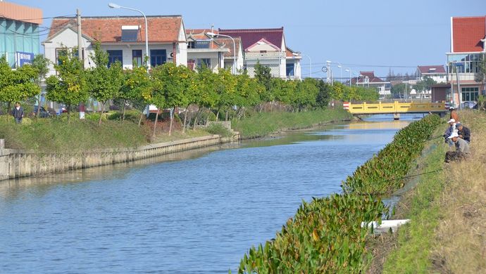 豐樂村(湖北武漢市新洲區倉埠街道豐樂村)