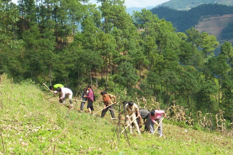 龔家自然村的村民勞作