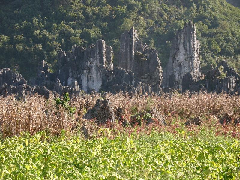 小石林