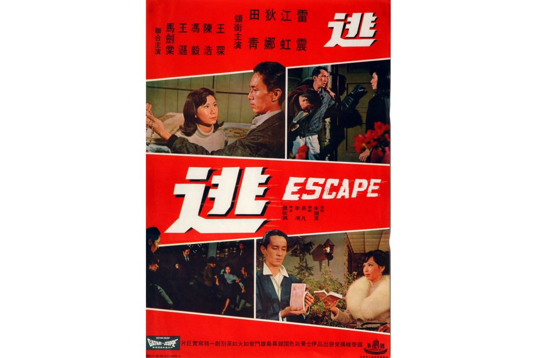 逃(1968年袁秋楓執導的動作電影)