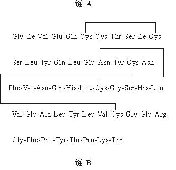 精蛋白鋅重組人胰島素混合注射液