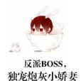 反派BOSS，獨寵炮灰小嬌妻