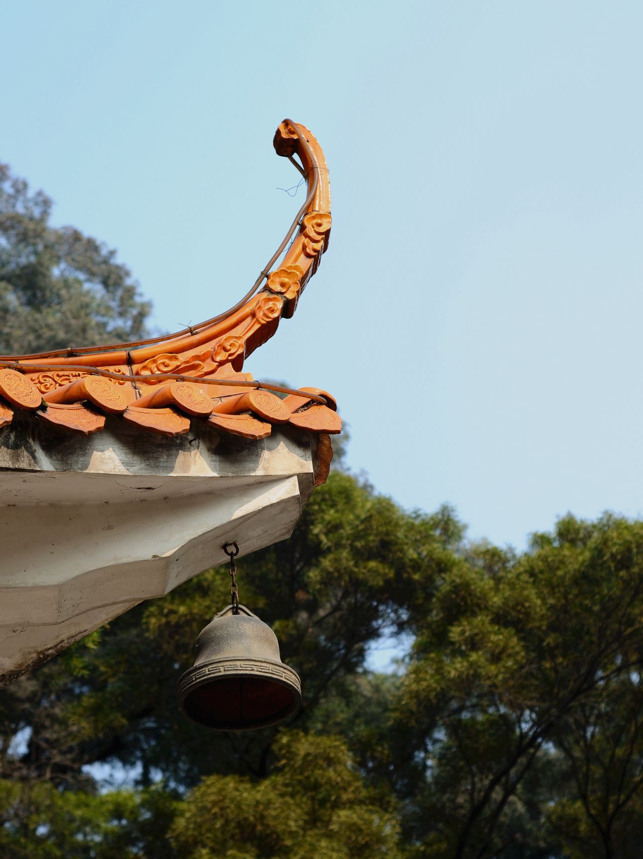 龍山公園(肥城公園)