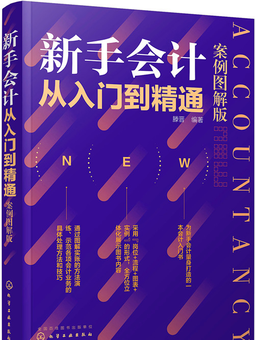 新手會計從入門到精通——案例圖解版