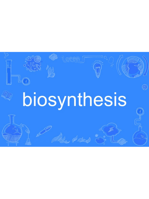 biosynthesis